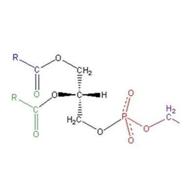 Phosphatidylserine CAS 51446-62-9